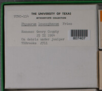 Image Associated With the Occurence